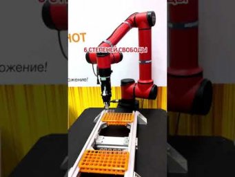 Коллаборативный робот на выставке РУПЛАСТИКА 2024
